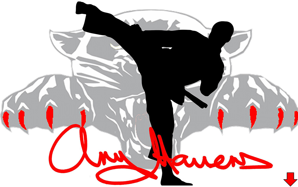 Chuldow Martial Arts Academies